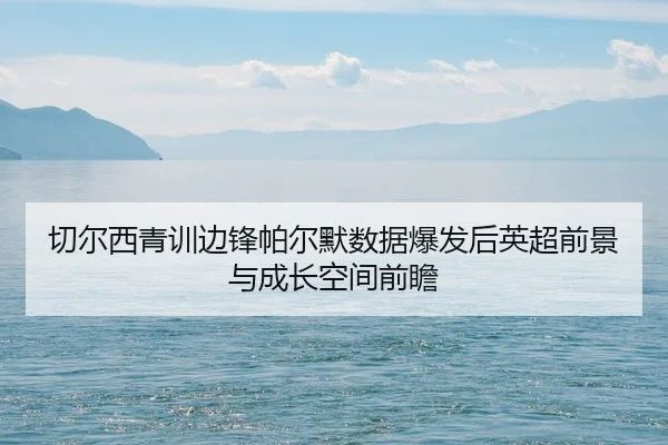 切尔西青训边锋帕尔默数据爆发后英超前景与成长空间前瞻